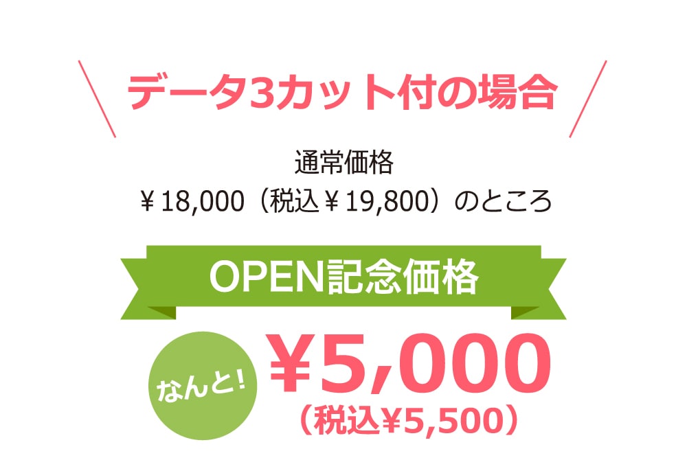 データ3カット付の場合 通常価格 ￥18,000（税込￥19,800）のところOPEN記念価格なんと！¥5,000（税込¥5,500）