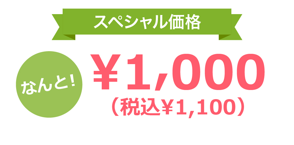スペシャル価格なんと！¥1,000（税込¥1,100）