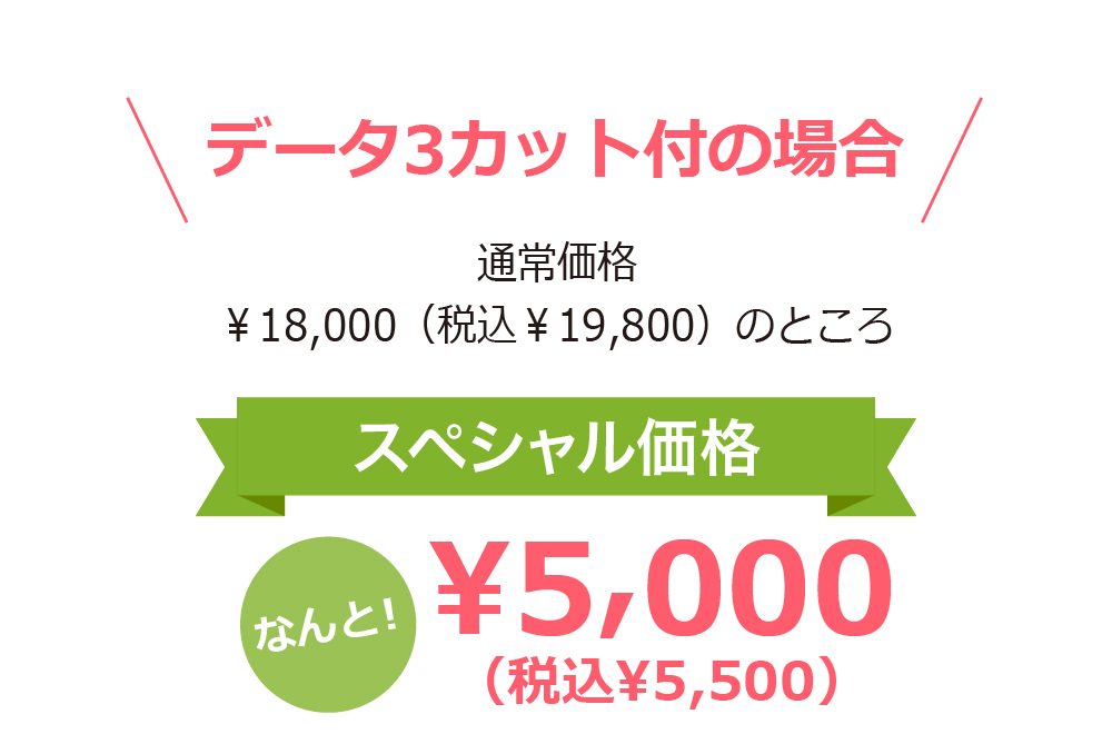 データ3カット付の場合 通常価格 ￥18,000（税込￥19,800）のところスペシャル価格なんと！¥5,000（税込¥5,500）