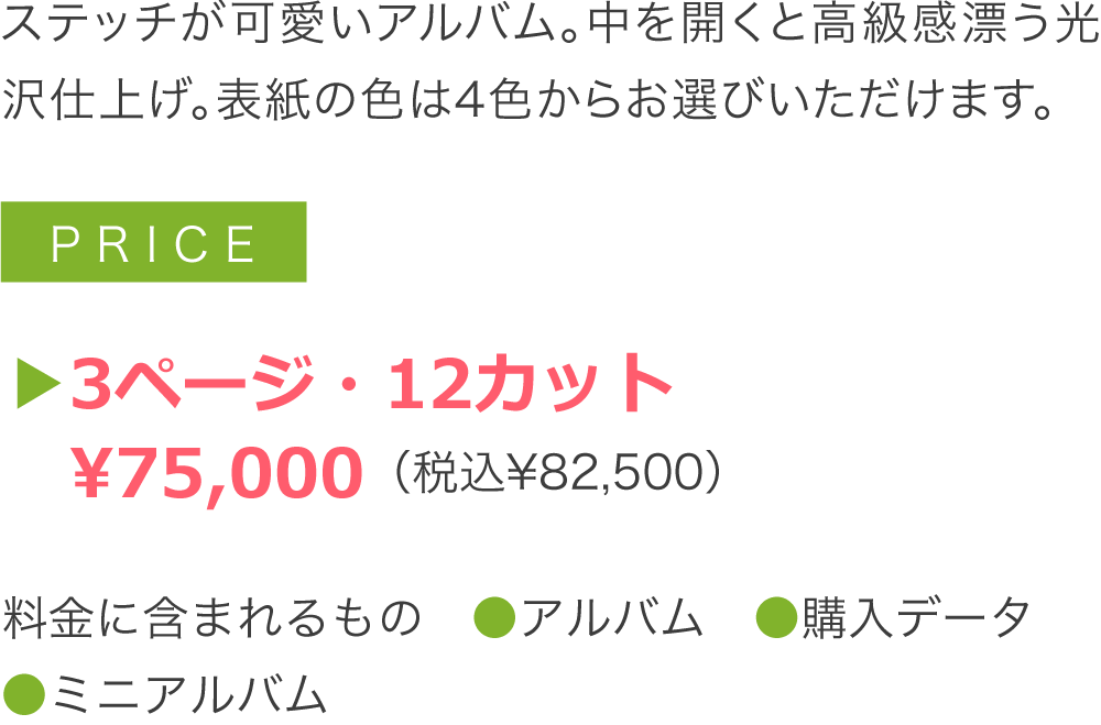 ステッチが可愛いアルバム。中を開くと高級感漂う光沢仕上げ。表紙の色は4色からお選びいただけます。 ▶3ページ・13カット ¥75,000(税込¥82,500) 料金に含まれるもの ●アルバム ●購入データ ●ミニアルバム